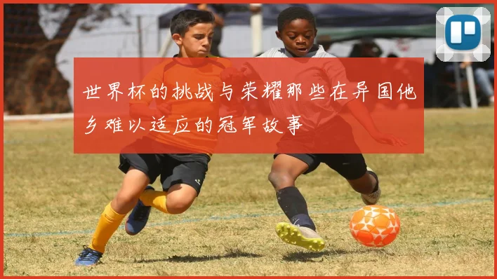 世界杯的挑战与荣耀那些在异国他乡难以适应的冠军故事